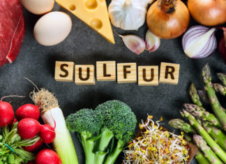 Quali sono gli alimenti che contengono lo zolfo e quali sono i benefici zolfo