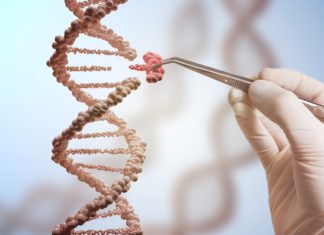 Nuovi Ogm, il ricorso delle associazioni contro le sperimentazioni in campo aperto ogm NUOVI OGM