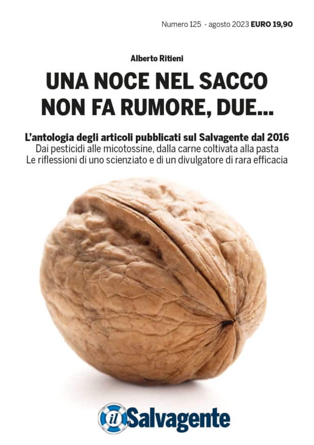 UNA NOCE NEL SACCO NON FA RUMORE, DUE…