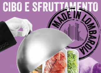 Meloni, insalata e suini: la filiera sporca della Lombardia sfruttamento