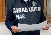 Falso extravergine, i ristoranti che a Roma usavano olio di semi “colorato” FALSO EXTRAVERGINE RISTORANTI ROMA