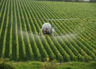 Vino, revisori Ue: fondi non usati per ridurre l’impatto ambientale vino uva