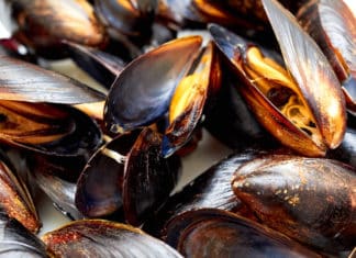 Cassazione: posticipare di un giorno data di confezionamento è frode in commercio EPATITE A COZZE
