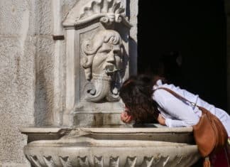 Pfas in 11 fontanelle pubbliche su 31 in Lombardia, il test di Greenpeace pfas fontana lombardia