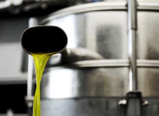 L’olio vecchio al supermercato costa quanto quello nuovo al frantoio OLIO SUPERMERCATO FRANTOIO