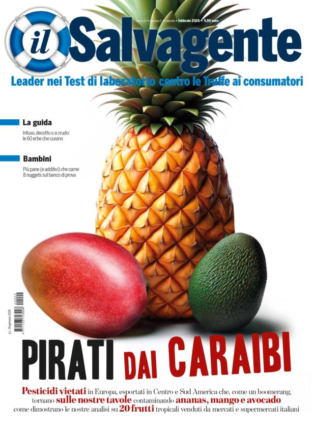 Il Salvagente 2/2024 (PDF)