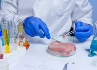 Uno studio cinese apre la porta ai conservanti naturali per la carne CARNE CONSERVANTI