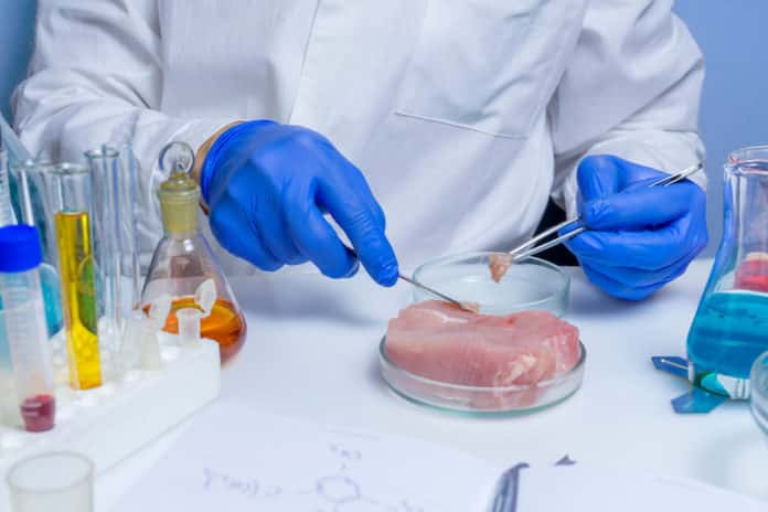 Quality control expert inspecting at meat products in the laboratory CARNE CONSERVANTI