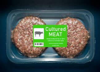 Nonostante Lollobrigida e Coldiretti italiani favorevoli alla carne coltivata CARNE COLTIVATA