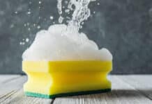 BfR: la spugna può diffondere Salmonella ed E. coli SPUGNETTE DA CUCINA
