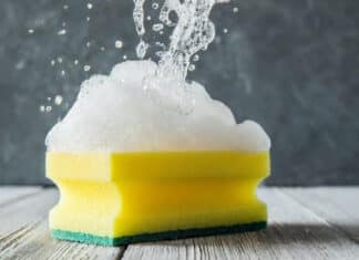 BfR: la spugna può diffondere Salmonella ed E. coli SPUGNETTE DA CUCINA