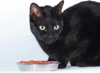 Shrinkflation, nel mirino dei francesi finiscono i Friskies Purina FRISKIES SHRINKFLATION