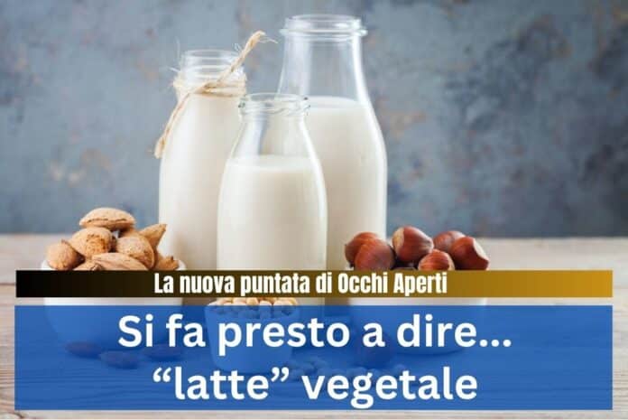 Mais, arachide, girasole... con quale olio friggere