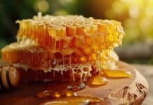 Pesticidi nel miele: nel monitoraggio europeo ancora glifosato e Tfa in quasi 8 vasetti su 10 api MIELE TFA
