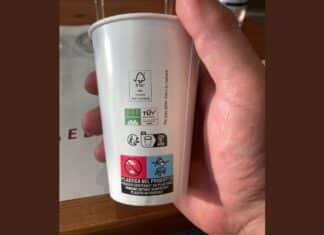 Compostabile ma “con plastica”. Il giallo dei bicchieri coi “bollini”