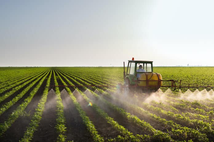 PAC agricoltura PAC