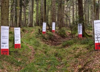 Greenpeace: “Ikea fermi la deforestazione dei Carpazi” IKEA