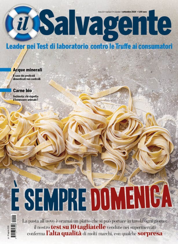 Il Salvagente 9/2024 (PDF)