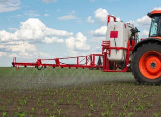 Quanti anni servono per bandire un pesticida tossico? La storia del Dcpa DCPA