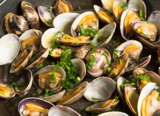 Vongole contaminate da Pfas: scattano i ritiri in Italia vongole pfas