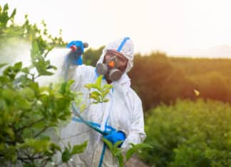 La Francia vieta Kyleo erbicida a base di glifosato pesticidi