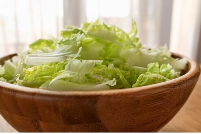 INSALATA LISTERIA INSALATA LISTERIA