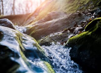 Acqua potabile, in Francia potrebbe essere molto più inquinata di quanto ne sappiamo