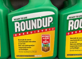 Glifosato, polemica negli Usa: Monsanto vuole cancellare i diritti dei futuri malati? bayer