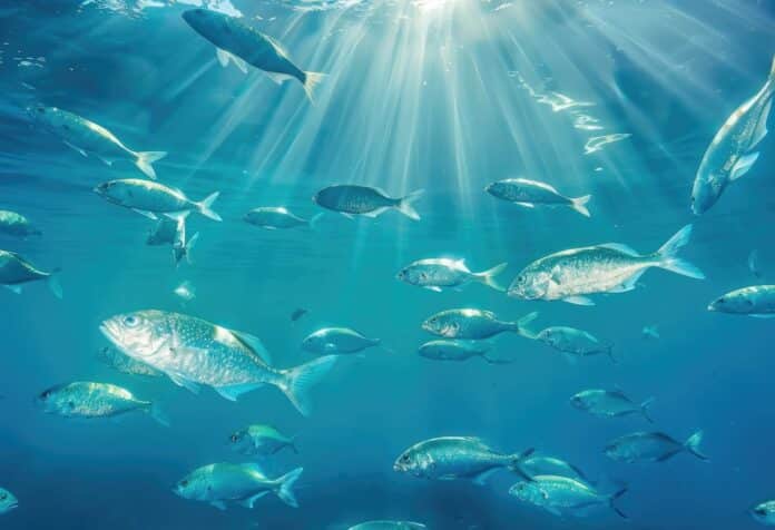 pesce AdobeStock_751986389 pesce