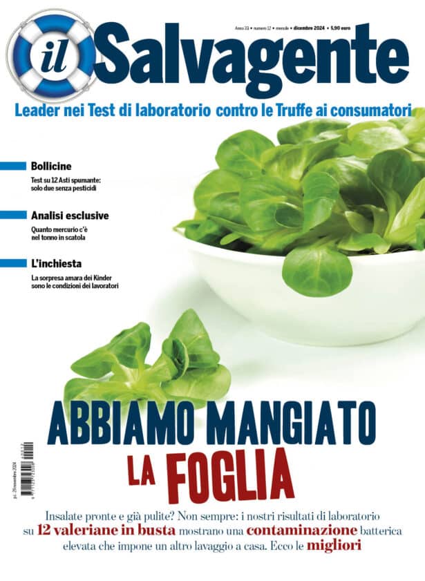 Il Salvagente 12/2024 (PDF)