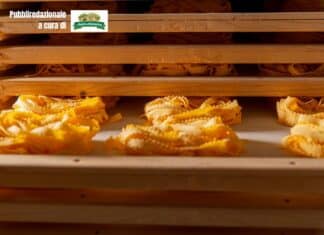 La Pasta di Camerino premiata con il bollino del Salvagente PASTA DI CAMERINO