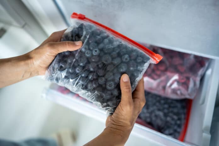 Hands hold zip bag with blueberries, putting into freezer. Cost effective frozen food storage MIRTILLI