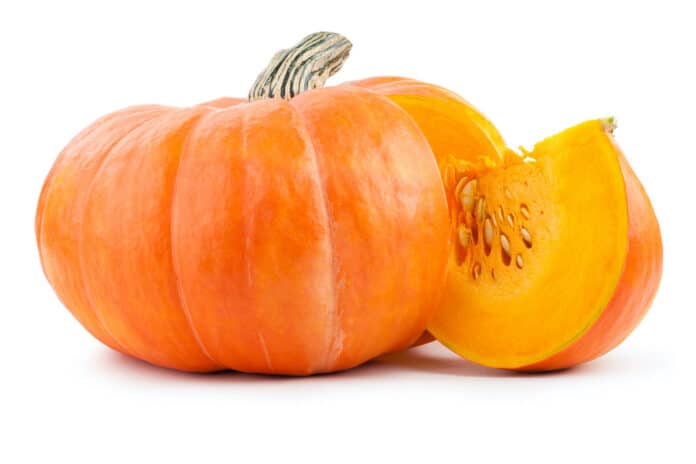 pumpkin ZUCCA