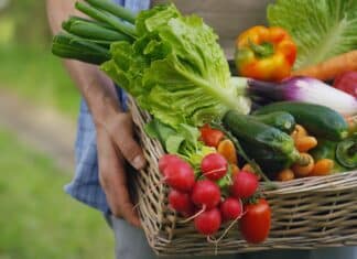 Un terzo dei cetrioli e due terzi delle banane in Italia sono contaminati da pesticidi Pfas pfas