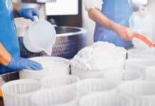 Falsa ricotta bio nella Gdo. Cassazione conferma condanna ad azienda del mantovano ricotta