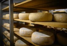 Formaggi a latte crudo: “Bene le linee guida ma serve l’obbligo di allert in etichetta” FORMAGGIO LATTE CRUDO
