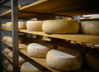 Formaggi a latte crudo: “Bene le linee guida ma serve l’obbligo di allert in etichetta” FORMAGGIO LATTE CRUDO