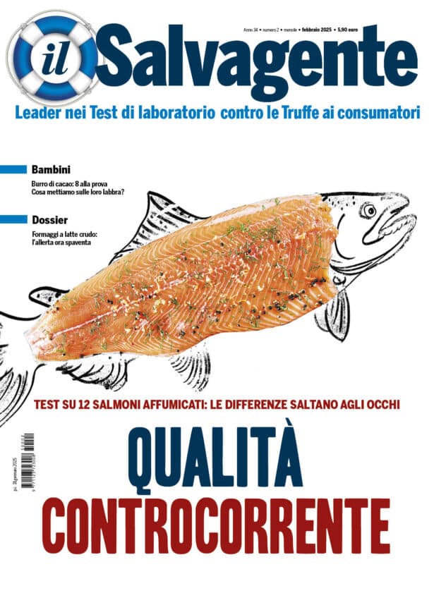 Il Salvagente 2/2025 (PDF)