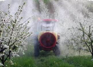 Il cocktail di pesticidi e l’aumento dei tumori infantili: lo studio choc del Nebraska PESTICIDI