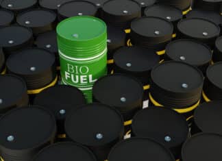 Auto, la Ue rallenta lo stop del 2035 e apre ai biocarburanti AUTO BIOCARBURANTI