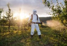 “En marche!”, i pesticidi nei campi francesi aumentano (ma l’Italia è ben più generosa) pesticidi