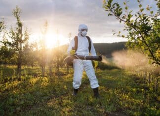 Pesticidi, il nuovo studio: contaminano più lontano di quanto si credesse pesticidi