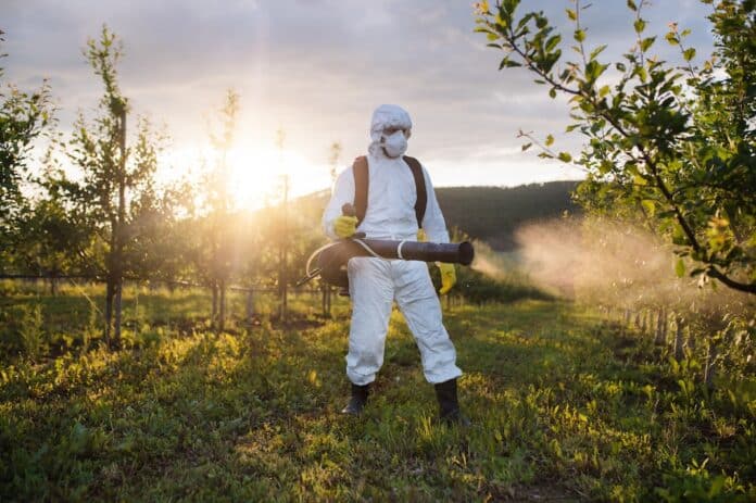 A farmer outdoors in orchard at sunset, using pesticide chemicals. pesticidi