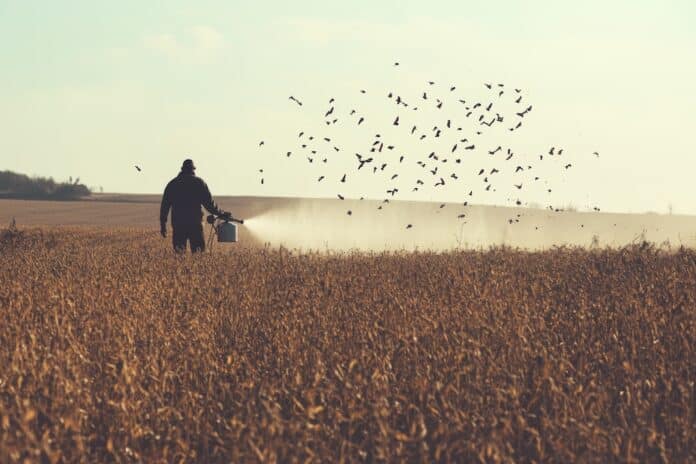 Farmer spraying pesticides on crops with wildlife fleeing, showcasing agricultural impact, harmful human activities and extinction of birds, banner pesticidi fungicidi
