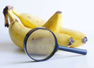Il giallo della banana: ecco cosa abbiamo trovato sotto la buccia PESTICIDI VIETATI BANANE