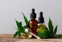 Dal boom commerciale al sospetto di tossicità: cosa succede al Cbd in Europa CBD CANNABIS