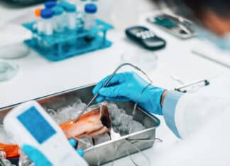 Arsenico negli alimenti, dalla Francia un nuovo metodo per misurarlo