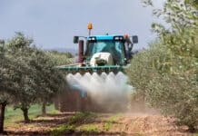 La Spagna chiede di reintrodurre il clorpirifos, il pesticida nemico dei bambini CLORPIRIFOS