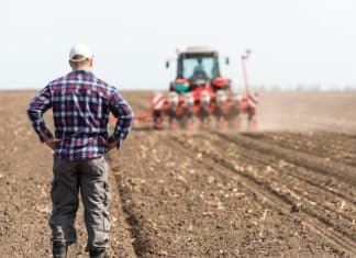 “La transizione tradita”, il report che spiega come l’agroindustria ha fermato il green deal green deal