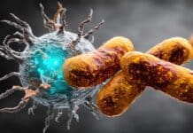Antibiotici, un solo ciclo può alterare il microbioma intestinale fino a 8 anni ANTIBIOTICI ANTIBIOTICO-RESISTENZA